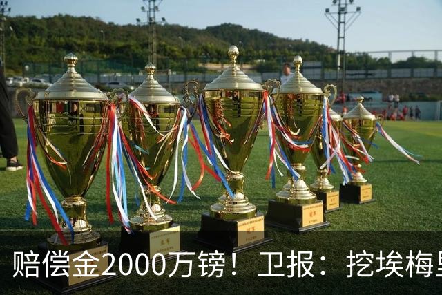 赔偿金2000万镑！卫报：挖埃梅里成本太高，曼联总监倾向埃迪·豪
